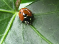 /album/fotogallerij/a2012-07-29-14-53-49-0025-jpg/